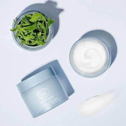 Hydrating Vegan Face Moisturizer Cream