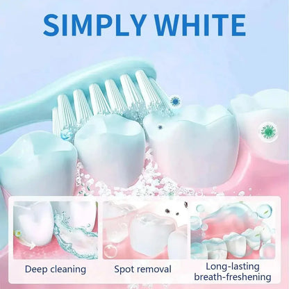Effective Teeth Whitening Powder for A Bright Smile