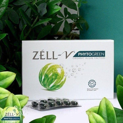 Natural Green Algae Anti Aging Supplement Capsules