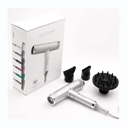 Professional Ionic Blow Hair Dryer